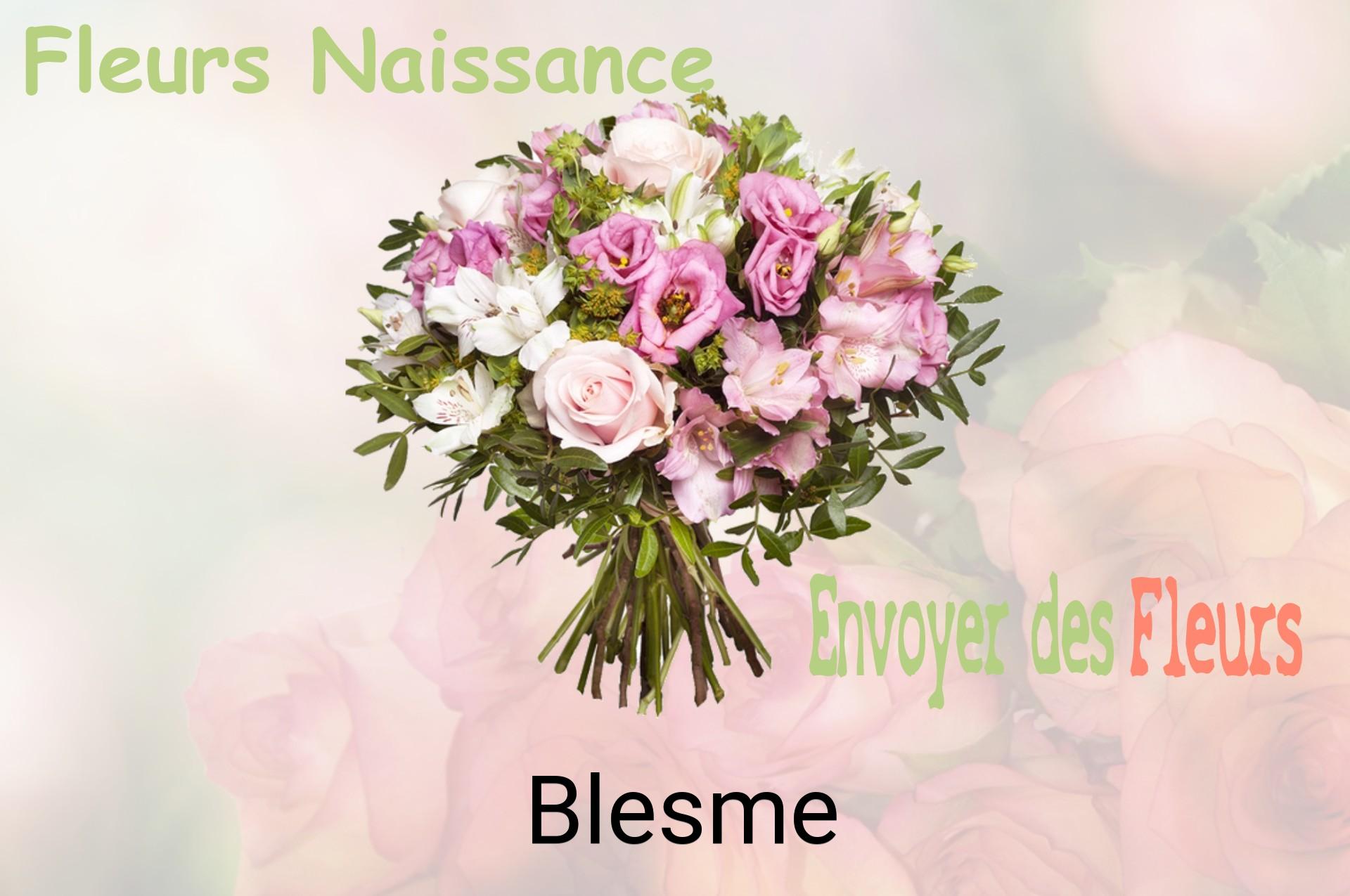 Bouquet de fleurs de naissance livré à Blesme